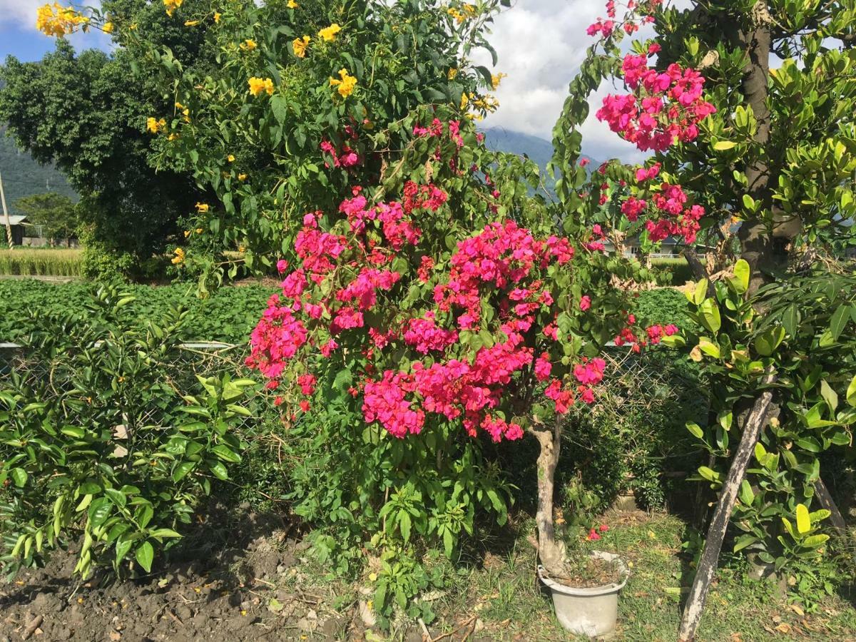 Bo Jue Farm Stay Ji'an Esterno foto